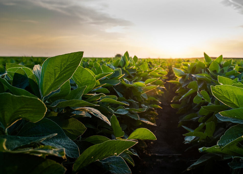 Photo of Financing Projects Utilizing the United States Department of Agriculture